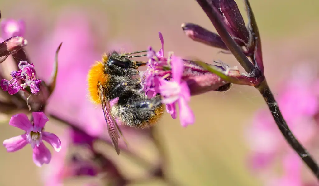 筆記型電腦推薦：HP文書筆電指南